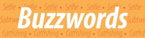 Top Buzzwords in 2013