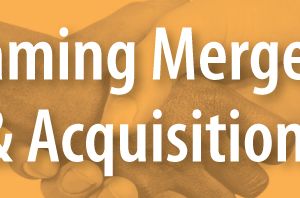 Naming Mergers and Acquisitions