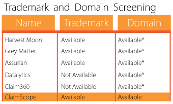 Domain and Trademark Screening when Naming a Brand