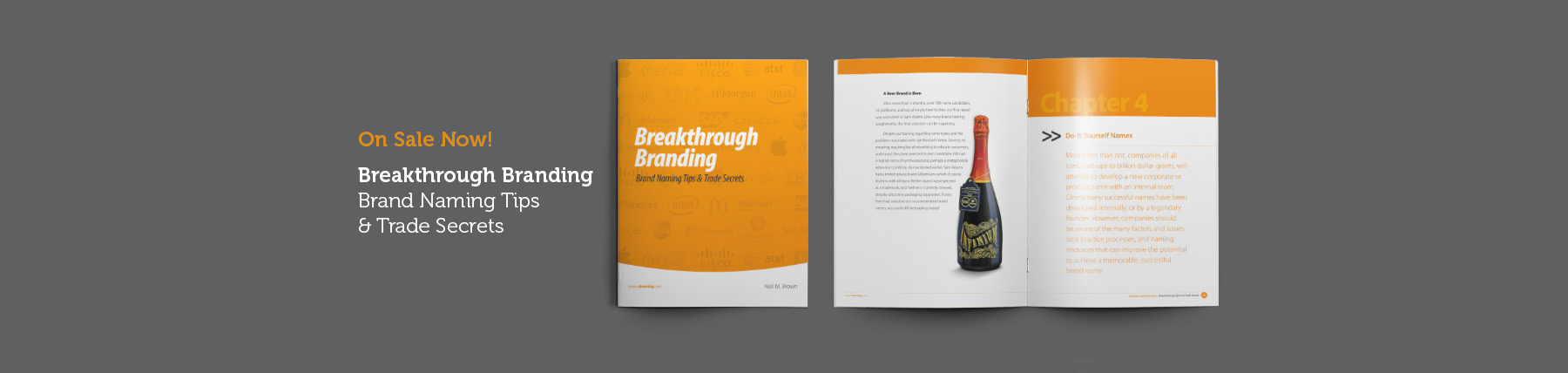 Breakthrough Branding Book Ideas Big