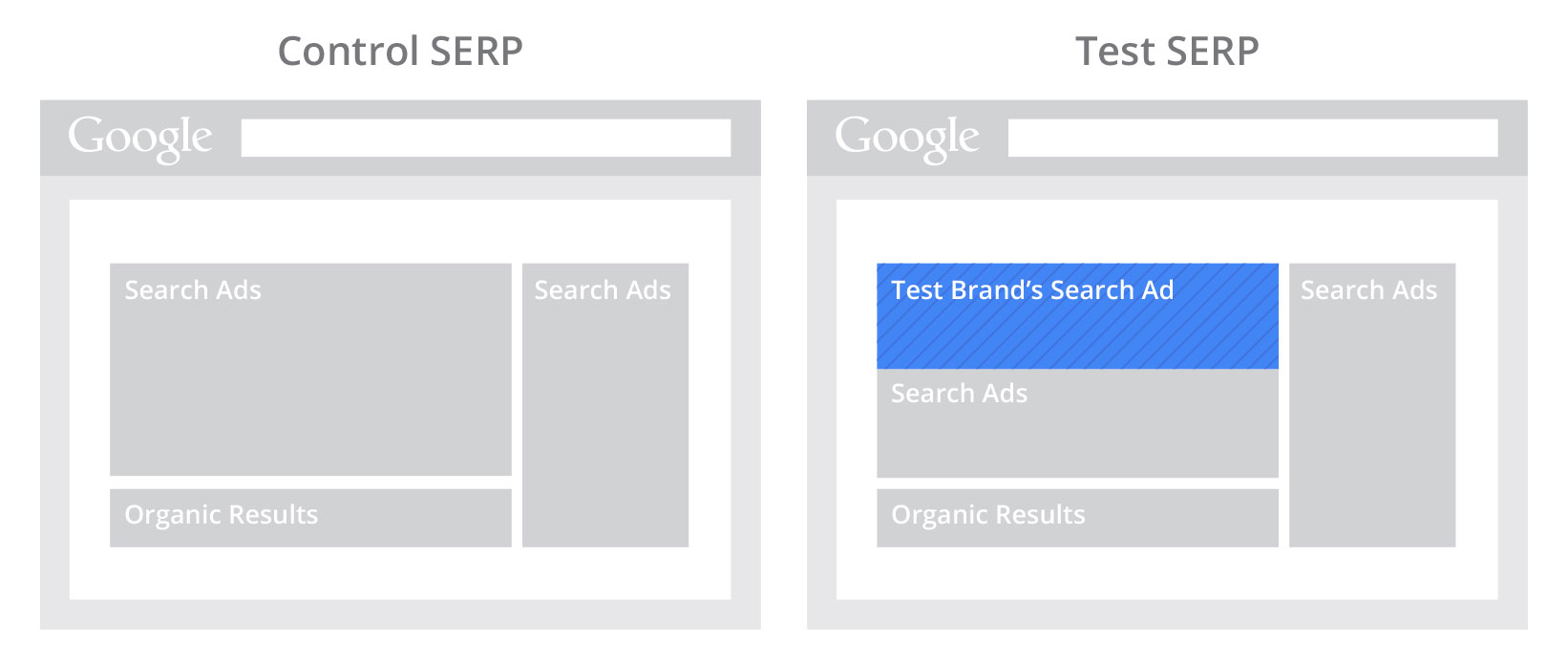 Paid Search and Branding Study