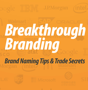 Breakthrough Branding Book