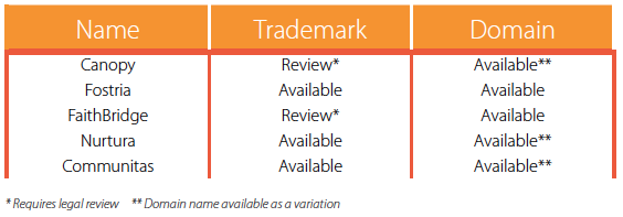 Trademark Domain Screening Nonprofit