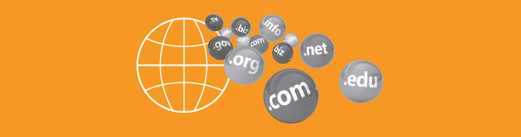 7 tips Protecting Domain Name