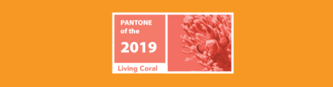 Pantone Color of the Year Living Coral